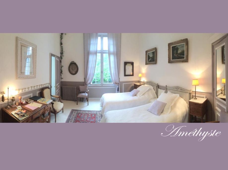 Chateau De La Haye Bed and Breakfast Contigné Eksteriør billede